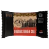 Torq Explore Flapjack - Organic Ginger Cake